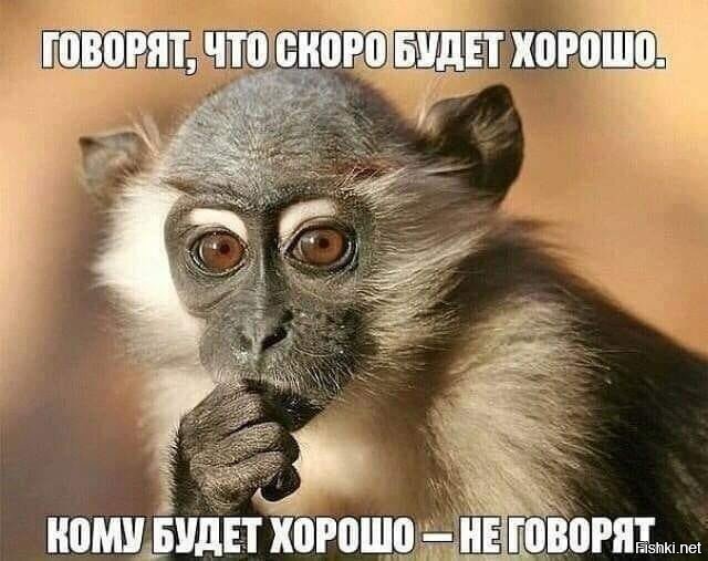«Газпром» сможет окупить «Северный поток-2» почти за 3 года, вместо рассчитанных 15 лет