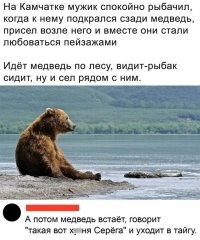 Неправда. Медведь такого про тайгу не скажет.