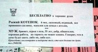 Ну и кто тут кричит про 40 кошек в 40 лет, когда некоторые уже в 35 готовы поменять мужа на котика ?