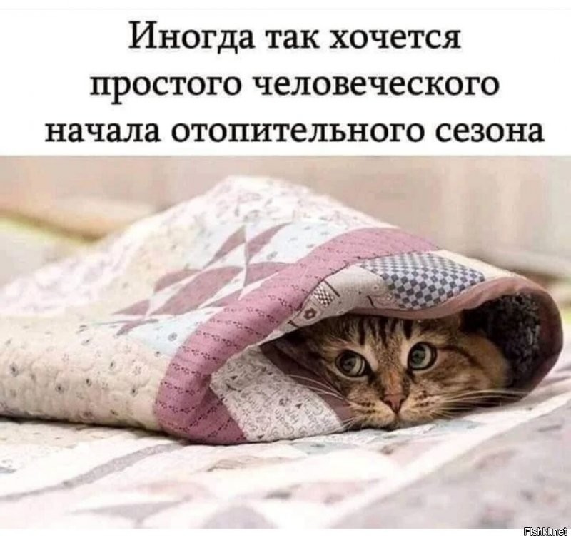 С добрым утром, лёгкой недели)