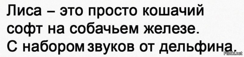 Солянка от 11.10.2021
