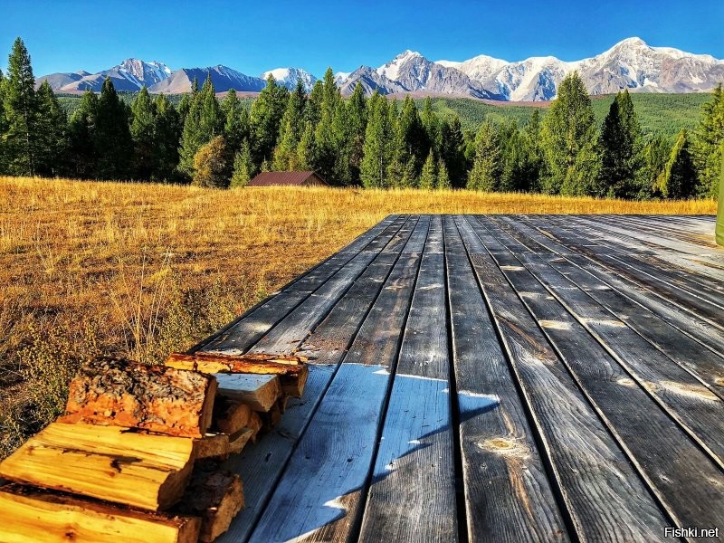 15 ошеломляющих вещей, которые мало кто может увидеть в реальной жизни