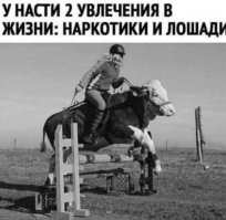 А ничего что это бык или корова на картинке ?