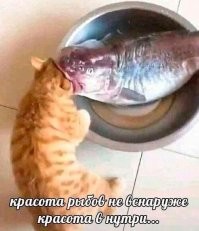 Большой калейдоскоп юмора и сатиры во вторник