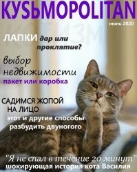 Картинки про милоту