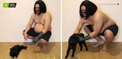 Не трогай кота, извращенец!