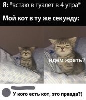 Не совсем. Мой, поначалу тоже вскакивал каждый раз, но потом понял, что пока не прозвонит будильник, еды не будет. Теперь даже не просыпается, понял, что бесполезно.