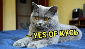 10 предметов интерьера, которые, по мнению британцев, выдают безвкусицу