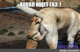 В Севастополе дама под веществами протаранила 5 авто, выползла из машины и погрузилась в транс