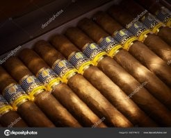 Cohiba офигеные сигары! Робуста - вообще бомба! По легенде Cohiba - любимые сигары Феди Кастрова. Он, типо, как-то услышал аромат сигар, которые курил один его охранник и спросил - ?? А там чуть ли не в каждом доме сами себе сигары крутят (девственницы на бедре, или старухи - и не ясно что лучше))). Так вот, оказалось, что эти - семейные семьи охранника. Им был дал зелёный свет на открытие собственной фабрики.