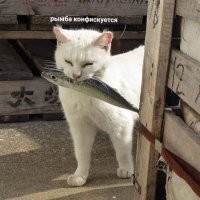 Вкусное)))