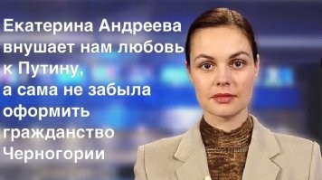 Черногория огласила список инвесторов-россиян, получивших гражданство бонусом