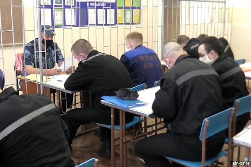 Может пора создавать дисциплинарные школы по типу дисбата? Засветился в подобном видео - поучись пол-годика на дизеле, ума-разума наберись.