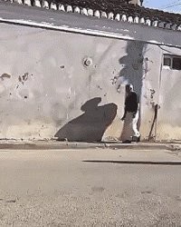 а куда он пошел? нужно снова пройти уровень!