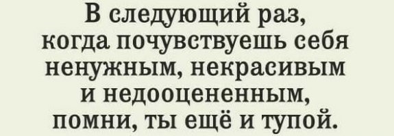 Вестник нищеброда: обновлённое издание 2021 года