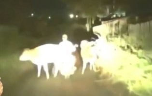 Там спокойно проехать можно было, а его влево потянуло - вот и завалился.