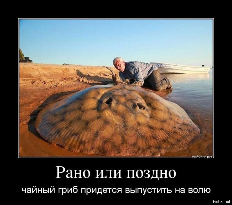 Хотелось бы узнать у знатоков