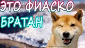 Неловкий момент: уличный гонщик тронулся задним ходом и врезался в машину