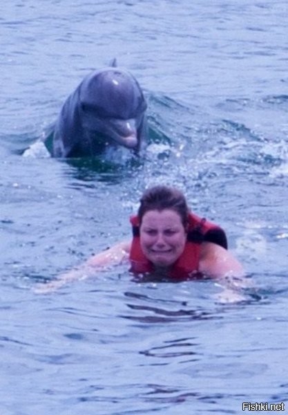 О доброте дельфинов, рассказывают только те, кого дельфины толкали к берегу.