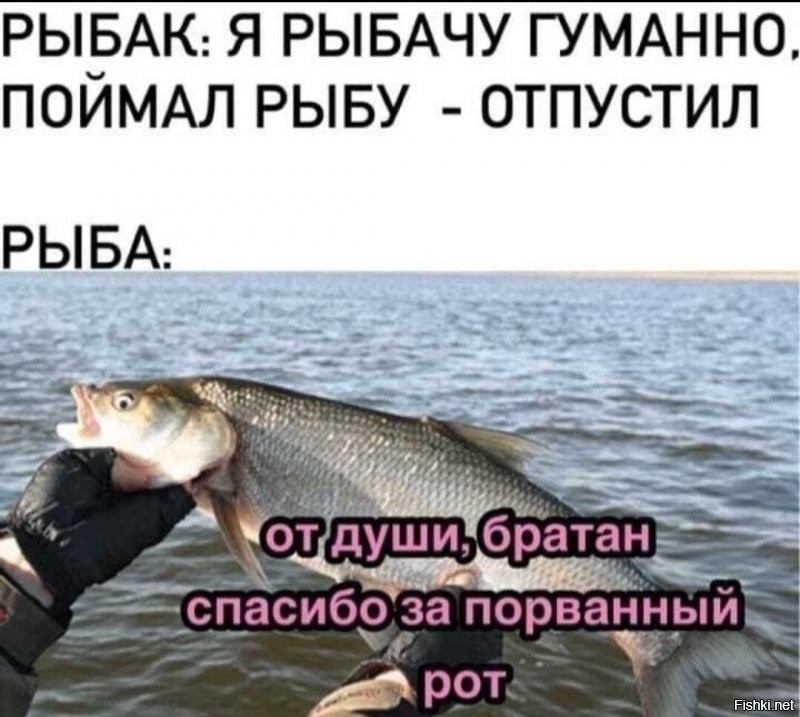 фотку сделал, отпусти