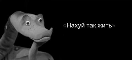 Охотник сам превратился в жертву