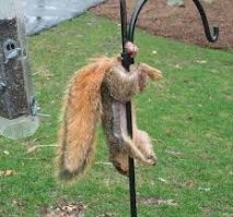 Даже смотреть больно