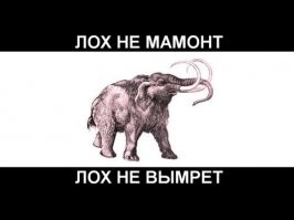 Фейковые свидания: как парней разводят на деньги