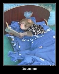 Больше четырех часов в сутки забирают у нас смартфоны