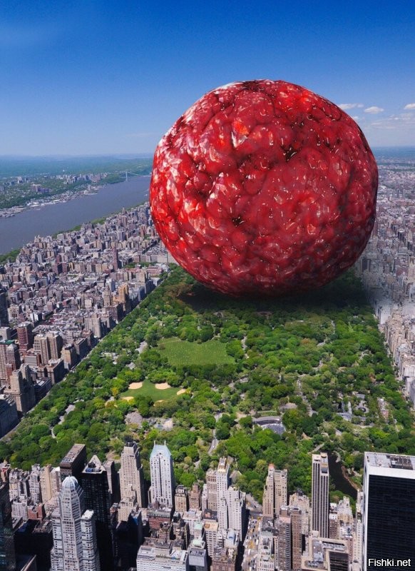 А ежели взять все 7 с лишним миллиардов людей и перемолоть их в однородную массу, то получится шар, шириной около 1 километра (в качестве фона центральный парк Нью-Йорка)!