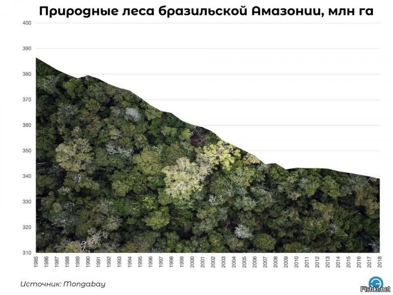 "нынче походу джунгли восстановили" - можно поподробнее о восстановлении...

"зато вырубают сибирскую тайгу."
Про посадки деревьев в России не хочешь рассказать?
"официальная статистика говорит о том, что площади лесовосстановления в целом по России в последние годы составляют около одного миллиона гектаров в год"