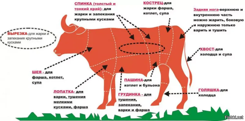 Отличие антрекота от эскалопа заключается в части туши, откуда было срезано мясо