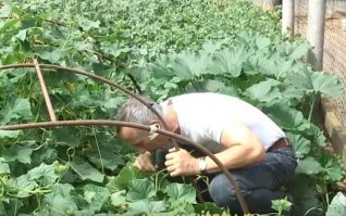 Ему не показывайте