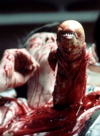 15 необычных фотографий удивительных вещей