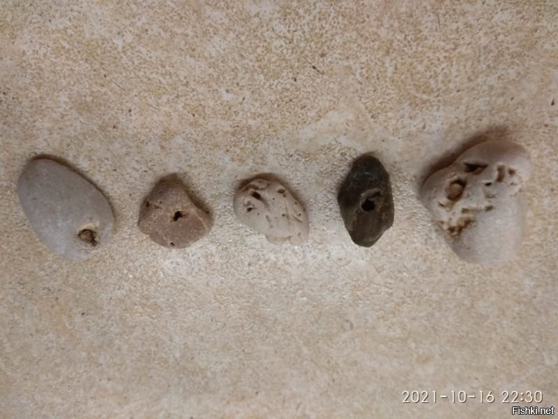 5 куриных богов)))