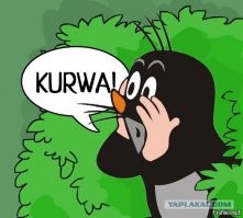 Болельщица, ставшая причиной массовой аварии на Тур де Франс, предстала перед судом