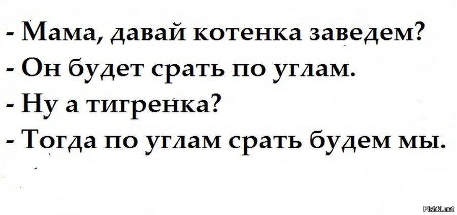 Давай купи тогда. Давай заведем котика. Мама давай заведем тигренка анекдот. Мама давай купим котенка анекдот. Мама давай заведем котенка.