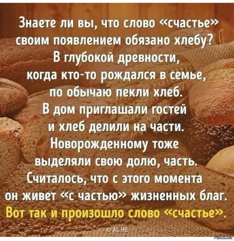 Солянка от 16.10.2021