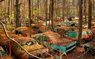 И не только он...