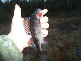 Улов – не главное: пост о рыбалке