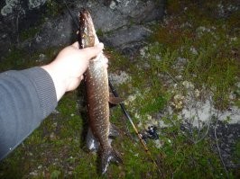 Улов – не главное: пост о рыбалке