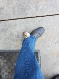 Наверное в деревянном протезе черви завелись.