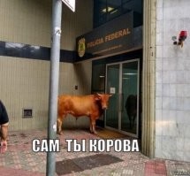 30+ фотографий, доказывающих, что бразильцы - отличные ребята!