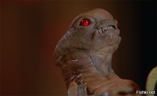 15 необычных фотографий удивительных вещей