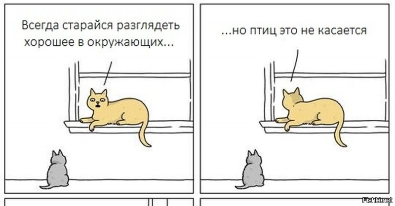 Солянка от 17.10.2021