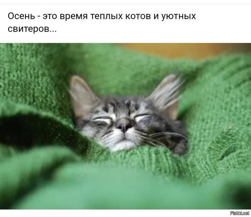 Солянка от 17.10.2021
