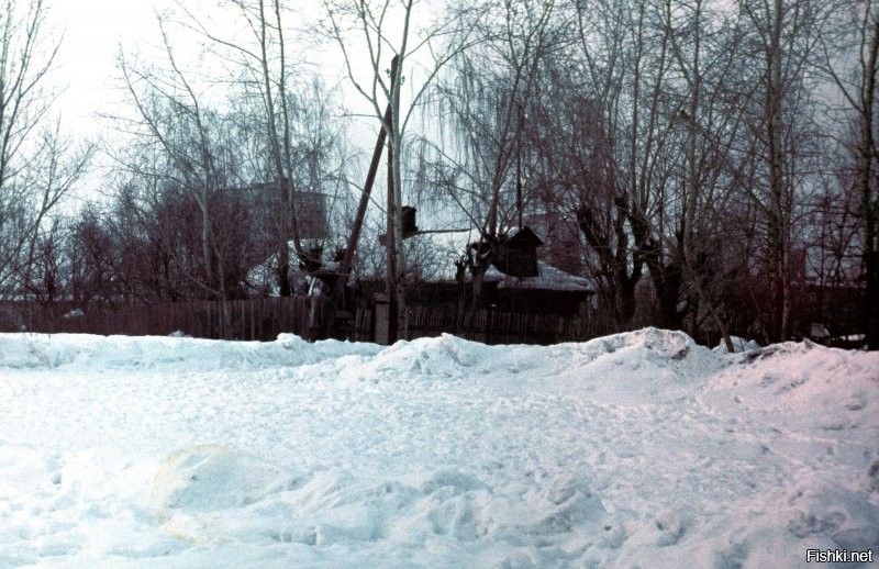 Последний деревянный дом на Хорошевской горке. 1985 г.