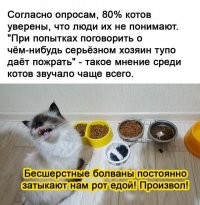 Ну что, погнали картинками Вас позитивить? Огромный блок веселья, улыбаемся господа, улыбаемся