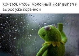 Исследователи нашли средство, которое позволяет вырастить новые зубы