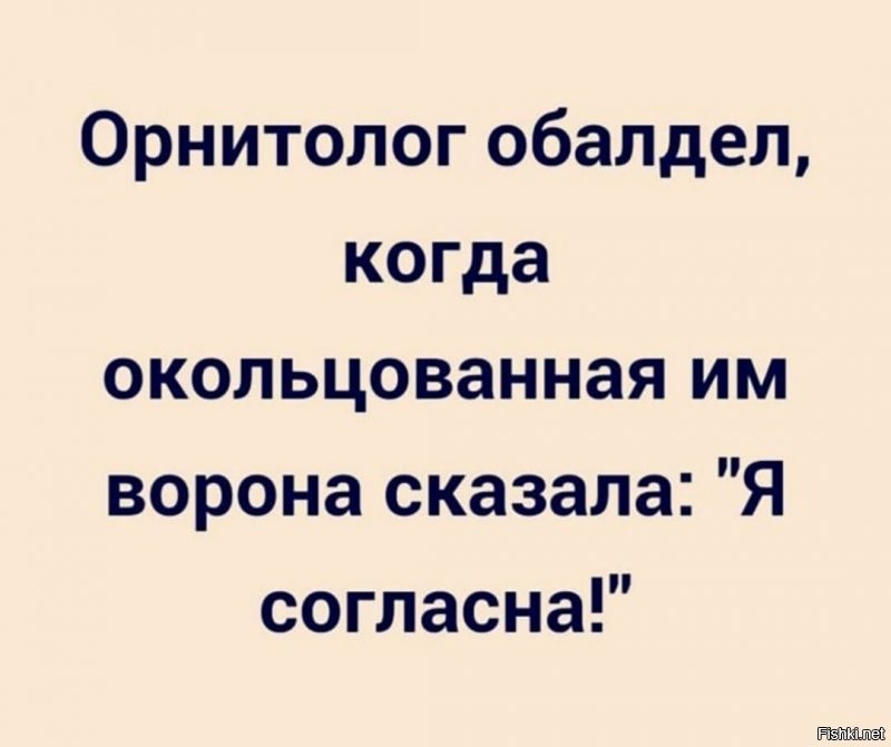готовьте шапки шубки )