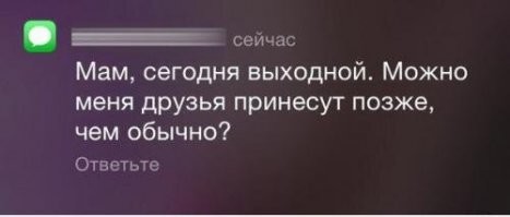 Юмор за 300: невероятные приключения алкоголиков